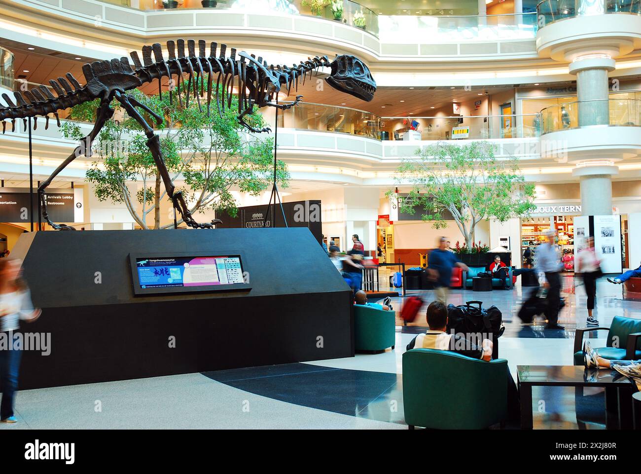 A dinosaur skeleton fossil stands in the atrium of the Atlanta International Airport Stock Photo