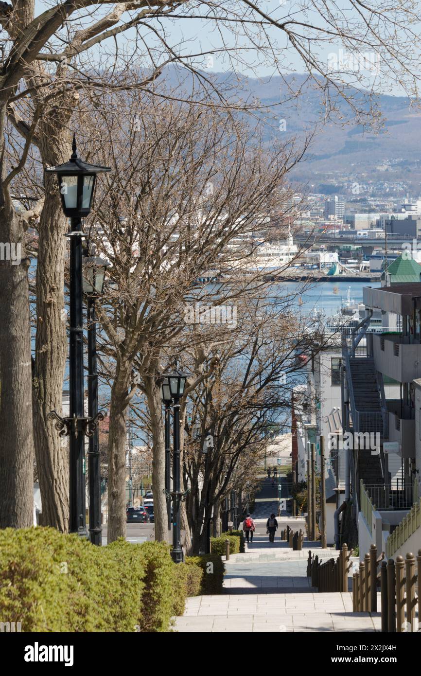Trees along a slope sidewalk in Hakodate old town, Hokkaido, Japan ...
