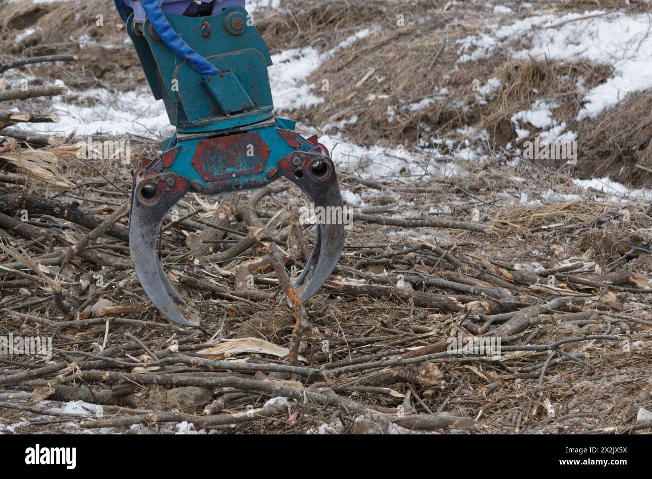 Industrial log grabber grapple machinery Stock Photo
