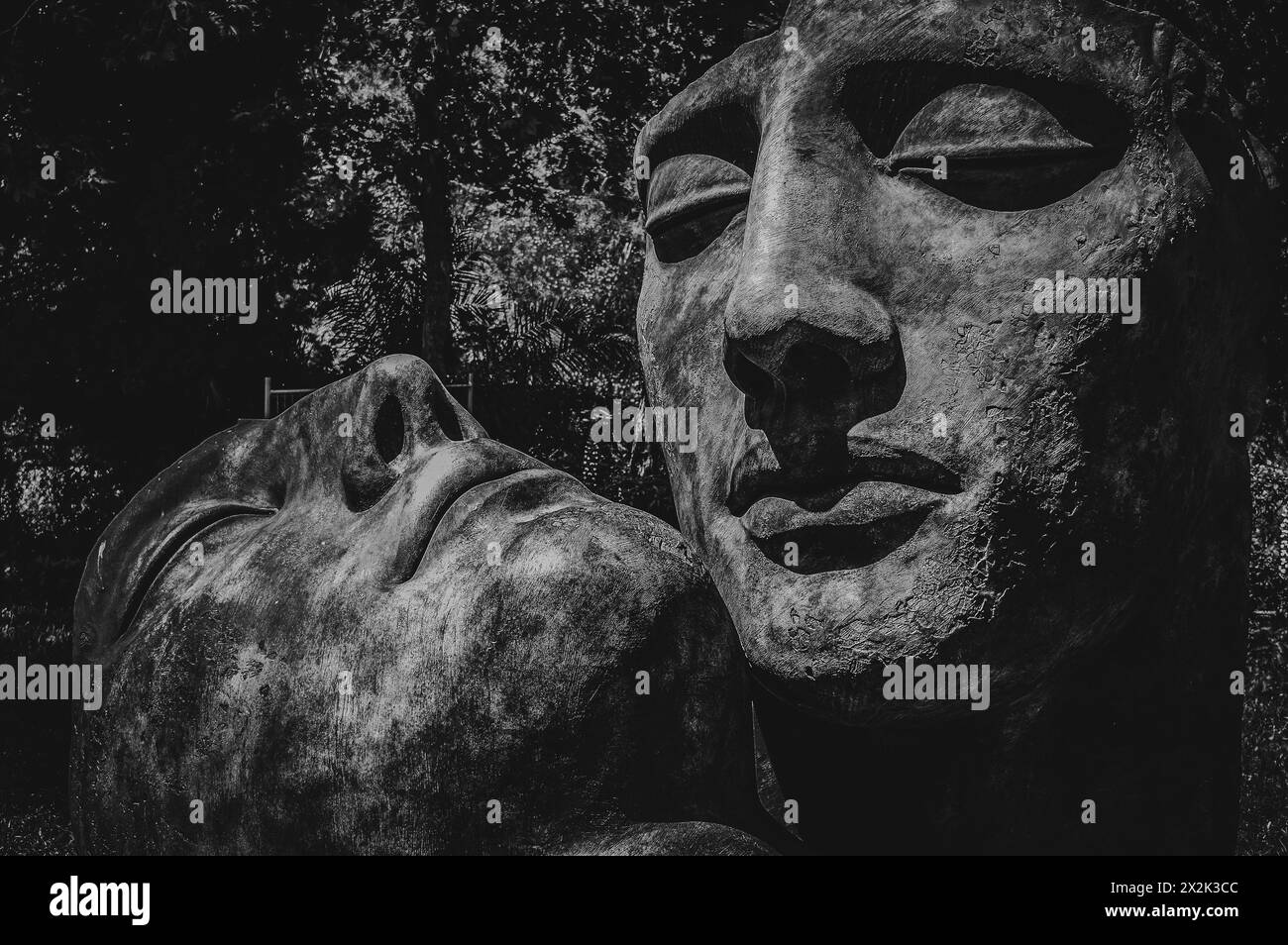 This black and white image captures a large, textured sculpture of a man's face lying on its side, set against a natural backdrop of trees. Stock Photo