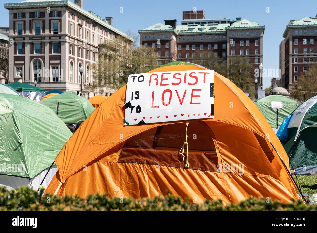 ProPalestinian supporters set up a protest encampment on the campus of