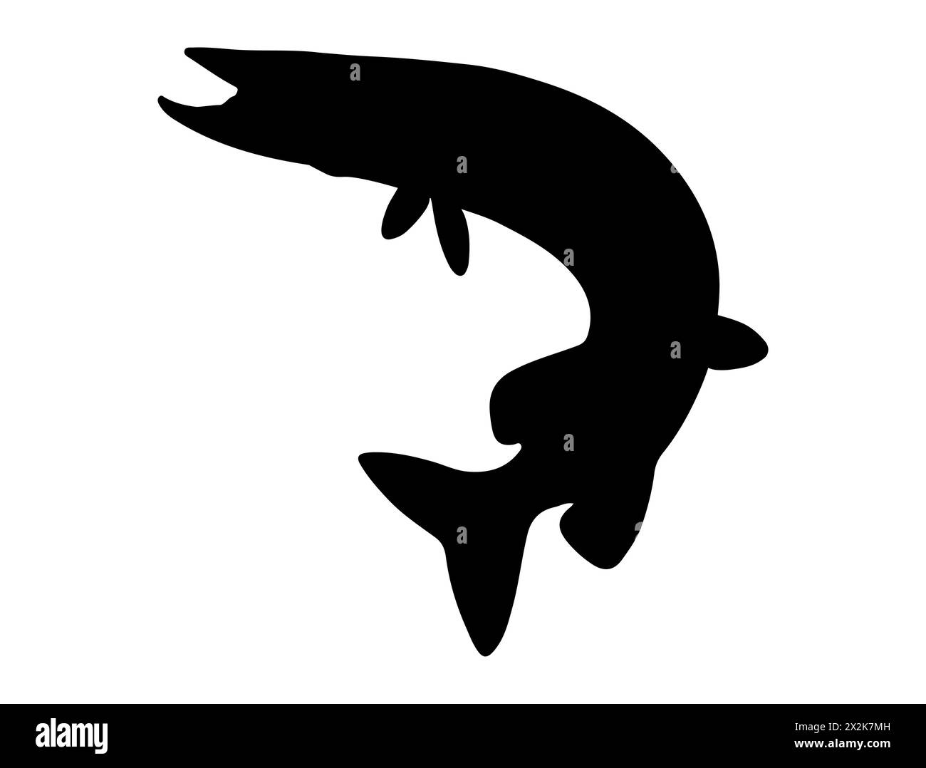 Northern pike fish silhouette vector art Stock Vector