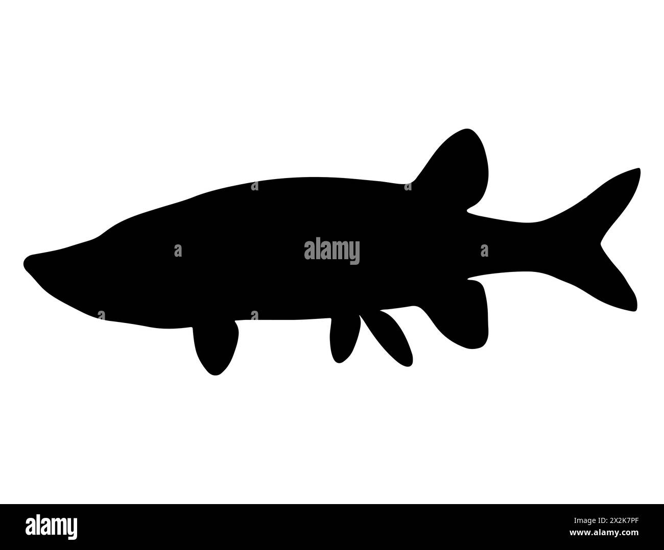 Northern pike fish silhouette vector art Stock Vector