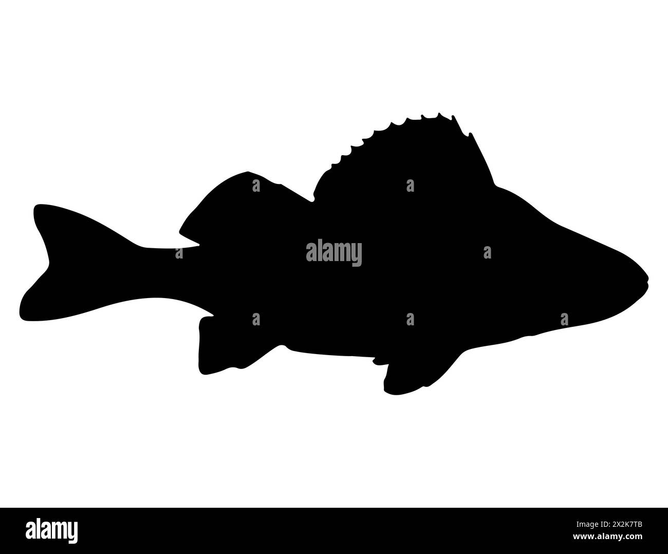 Perch fish silhouette vector art Stock Vector