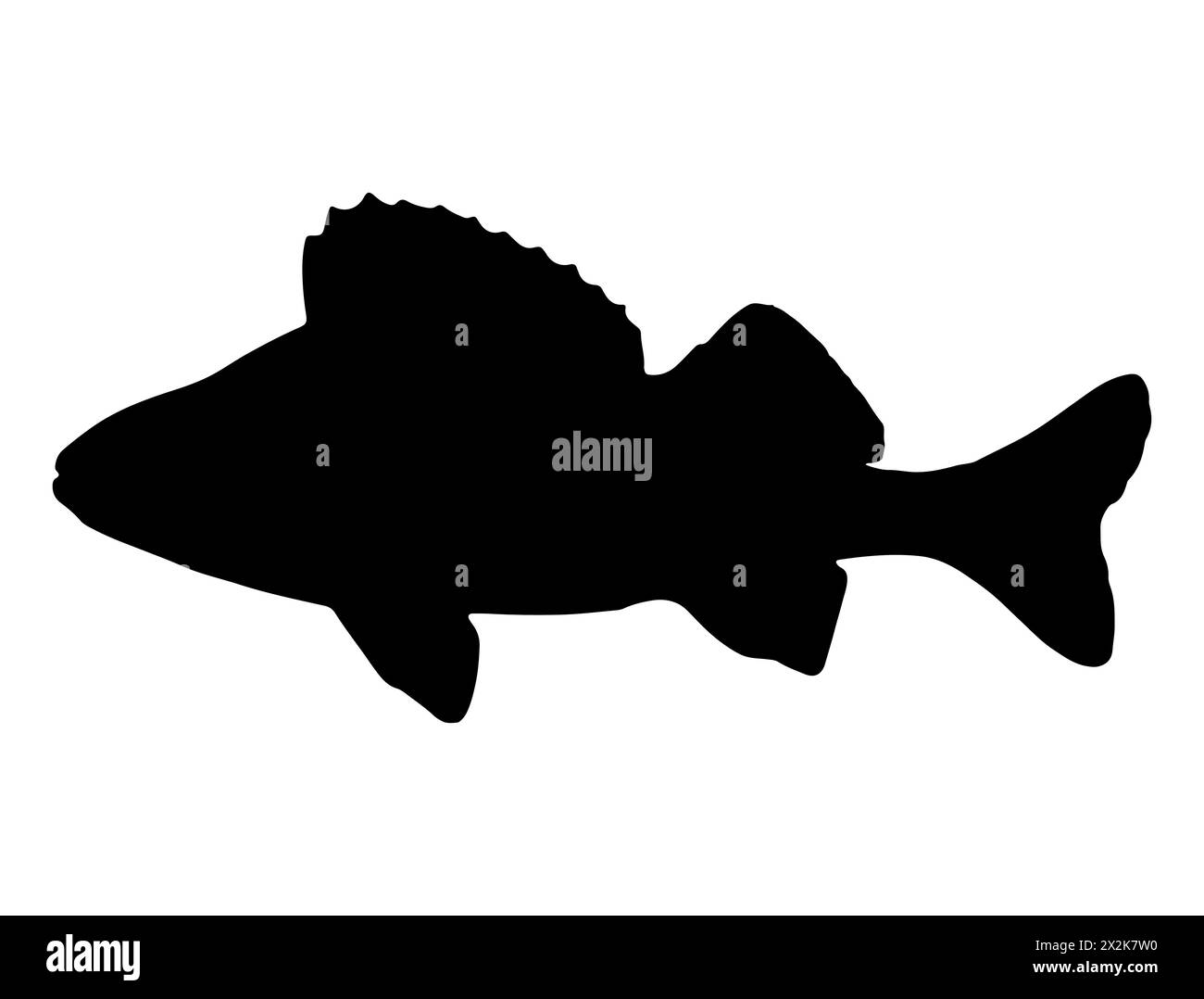 Perch fish silhouette vector art Stock Vector