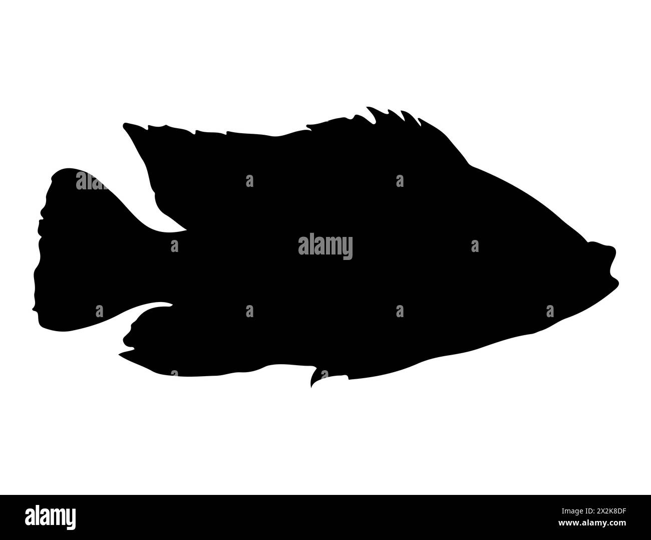 Tilapia fish silhouette vector art Stock Vector