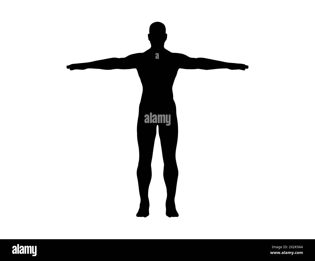 Human body silhouette vector art Stock Vector