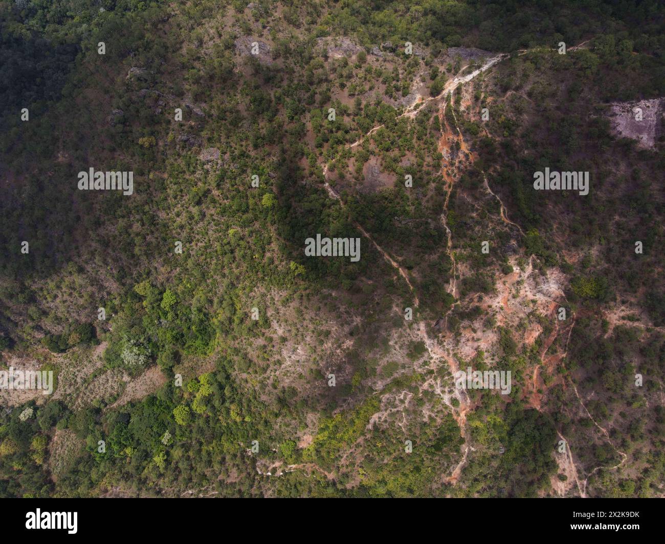 Pequin, Morazan, El Salvador. 8th Apr, 2024. (EDITORS NOTE: Image taken with drone) View of a forest in El Salvador. Earth Day takes place annually on April 22, it was first celebrated in 1970 to demonstrate support for environmental protection. (Credit Image: © Camilo Freedman/SOPA Images via ZUMA Press Wire) EDITORIAL USAGE ONLY! Not for Commercial USAGE! Stock Photo