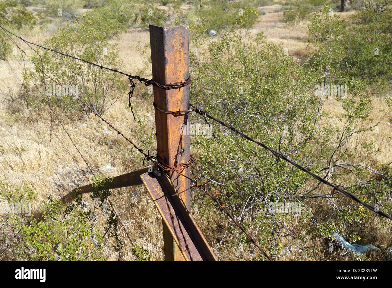 Barbed wire fence Stock Photo