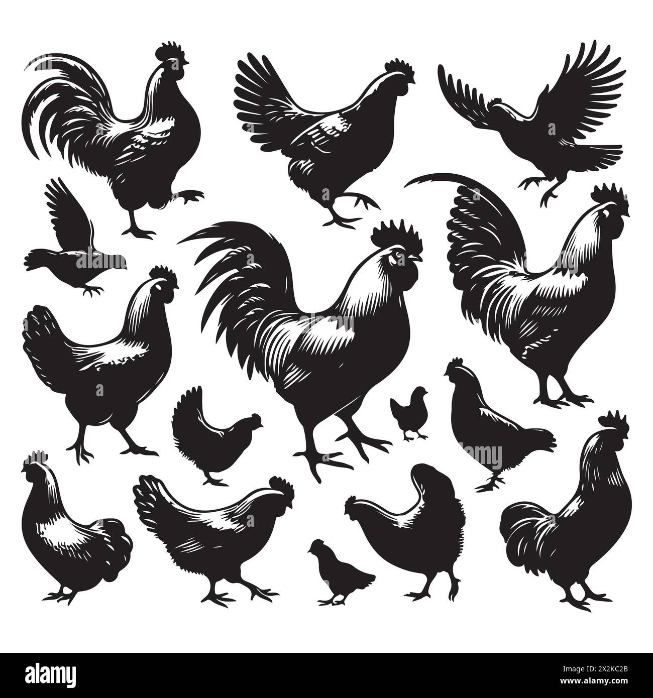 silhouette-set-of-chicken-stock-vector-image-art-alamy
