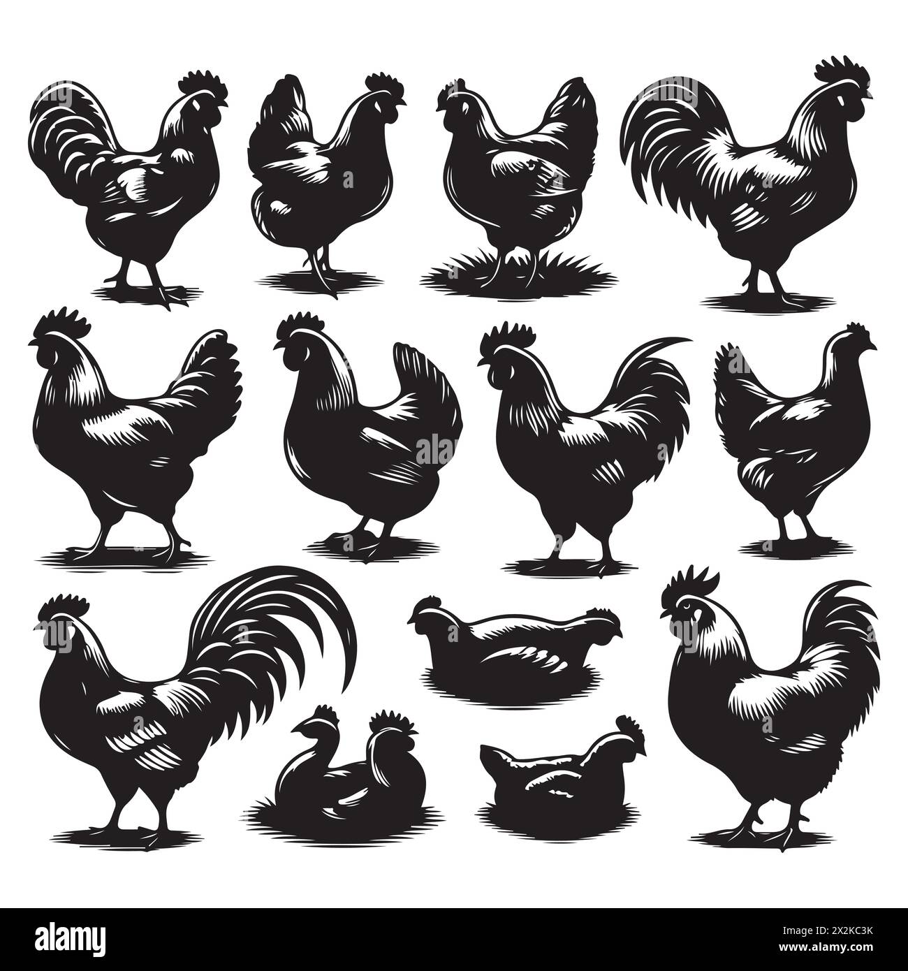 Silhouette Set Of Chicken Stock Vector Image Art Alamy silhouette-set-of-chicken-stock-vector-image-art-alamy
