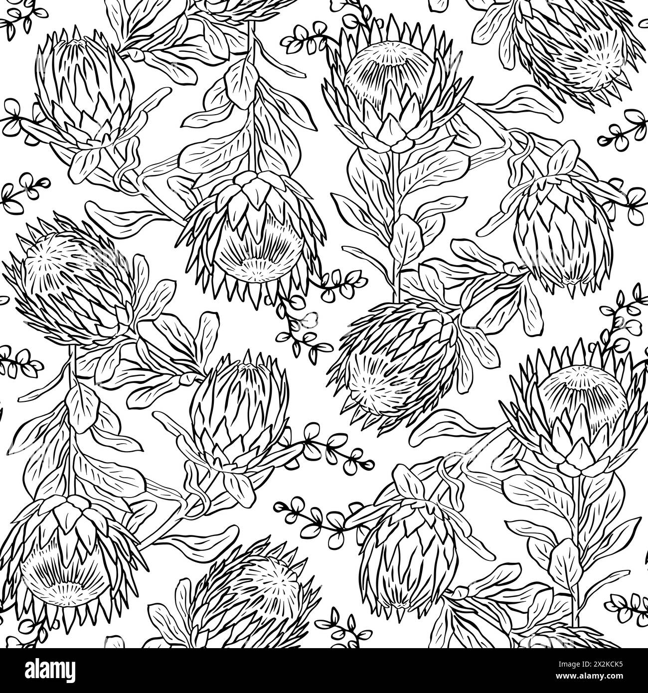 Black and white seamless pattern with line art protea flowers Stock ...