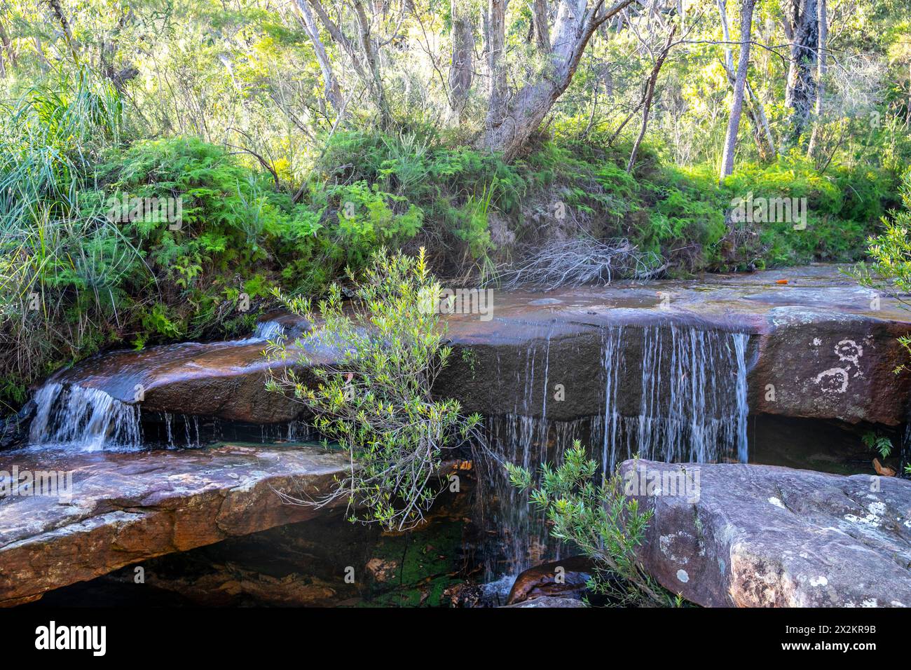 Waterfall flowing water beside the America Bay track trail walk in Ku-ring-gai chase national park, Sydney,NSW,Australia,2024 Stock Photo