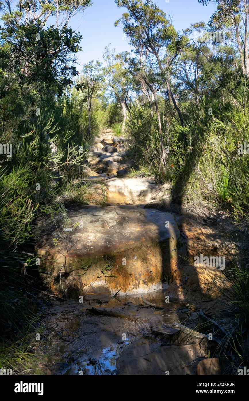 Walking hiking track to America Bay viewpoint, Ku-ring-gai chase national park,Greater Sydney,NSW,Australia Stock Photo