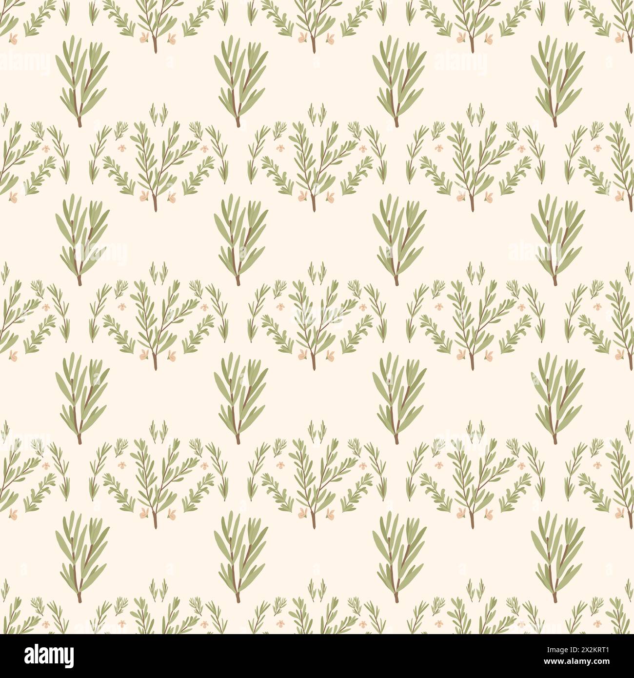 Rosemary seamless pattern. Herb repeat background. Botanic endless ...