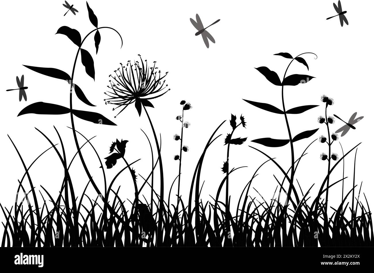 herbaceous plant dragonfly, monochrome vector design Stock Vector