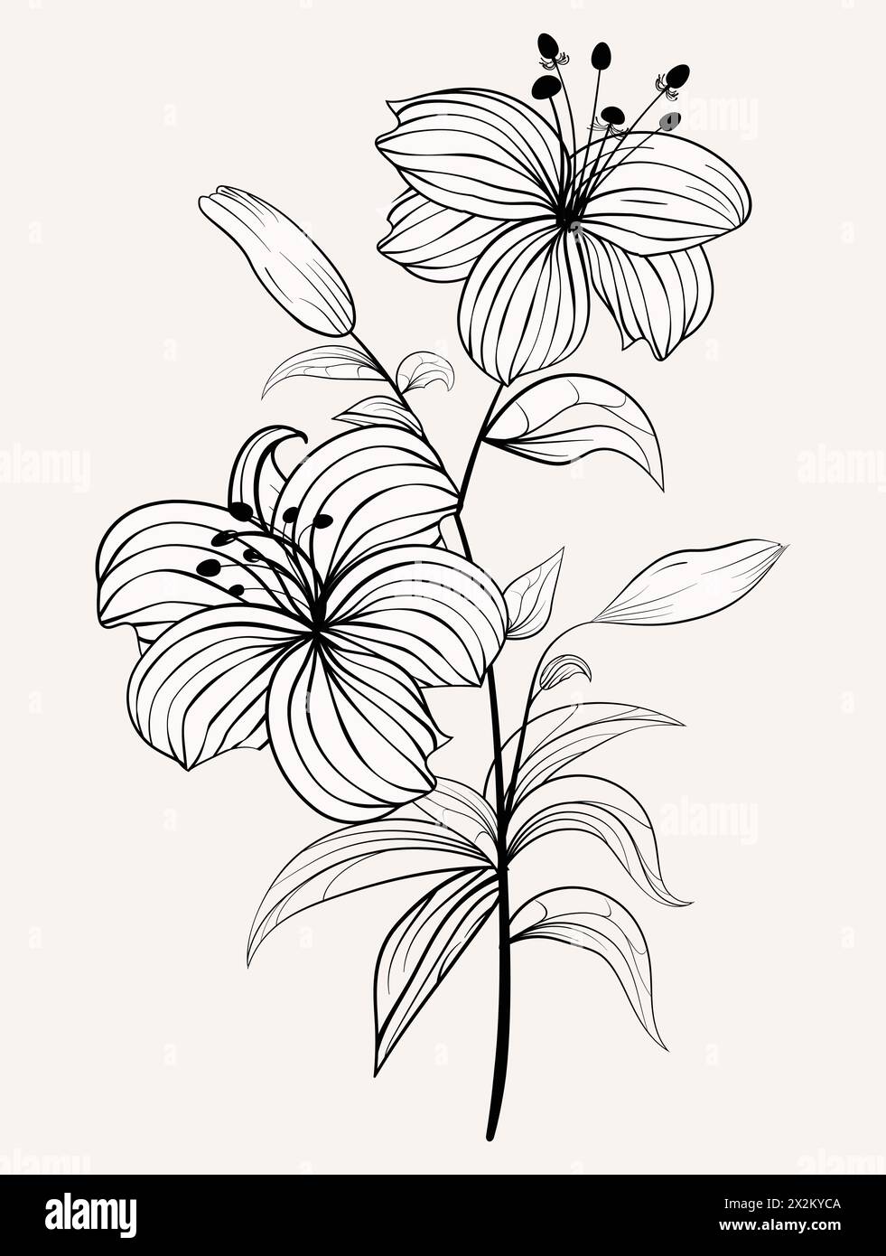 simple sketch of flower monochrome Stock Vector Image & Art - Alamy