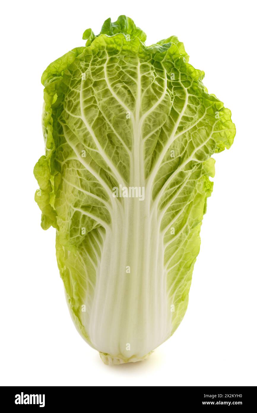 Fresh chinese cabbage isolated on  white background Stock Photo