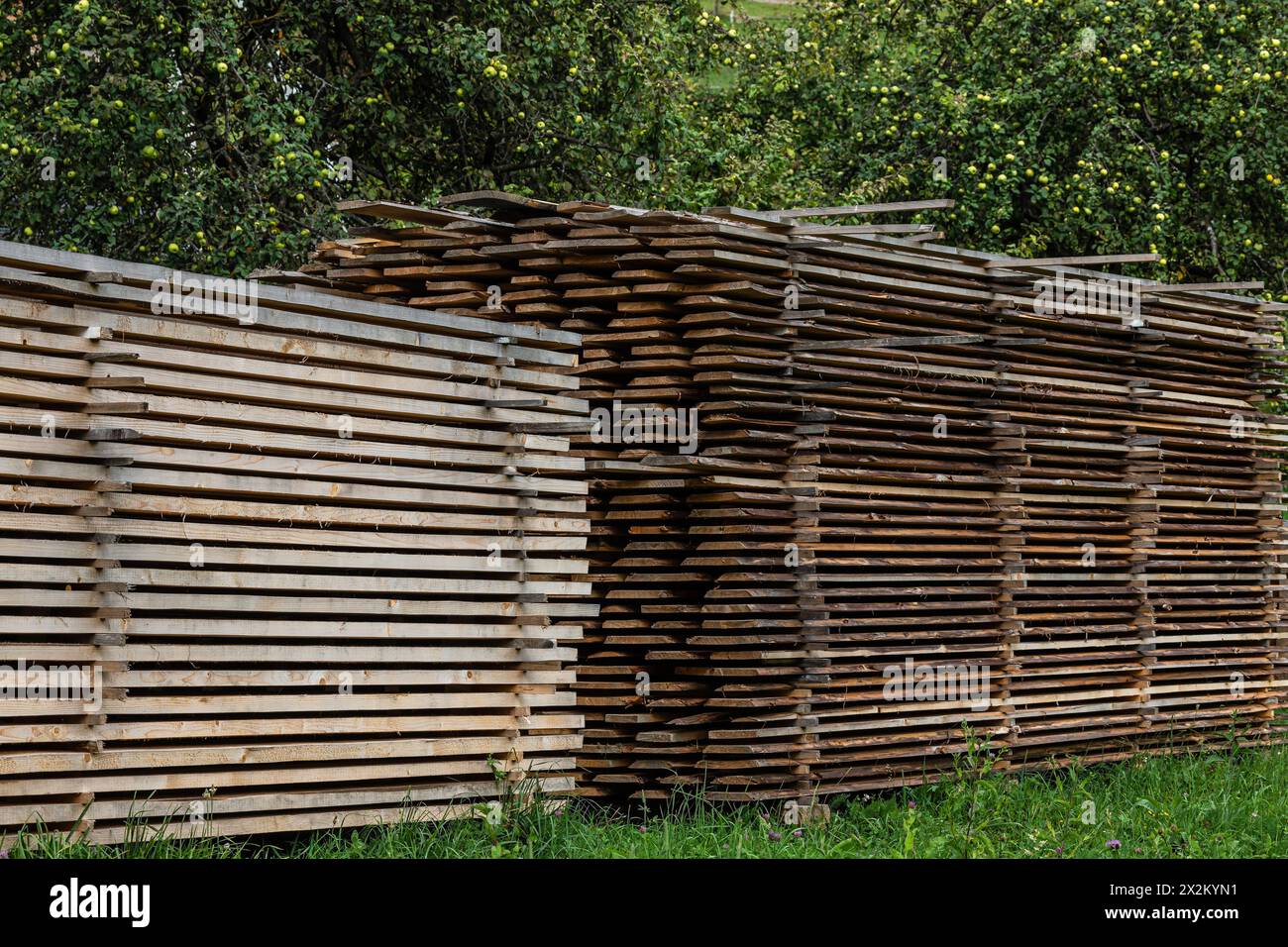 Piles of wooden boards in the sawmill, planking. Warehouse for sawing ...