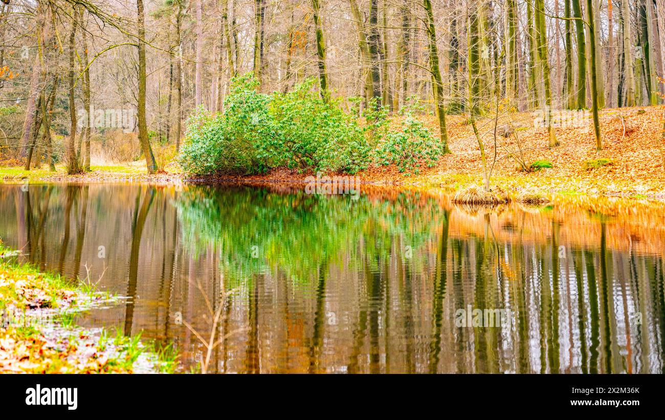 The still waters of a lake reflect colorful autumn trees at ...