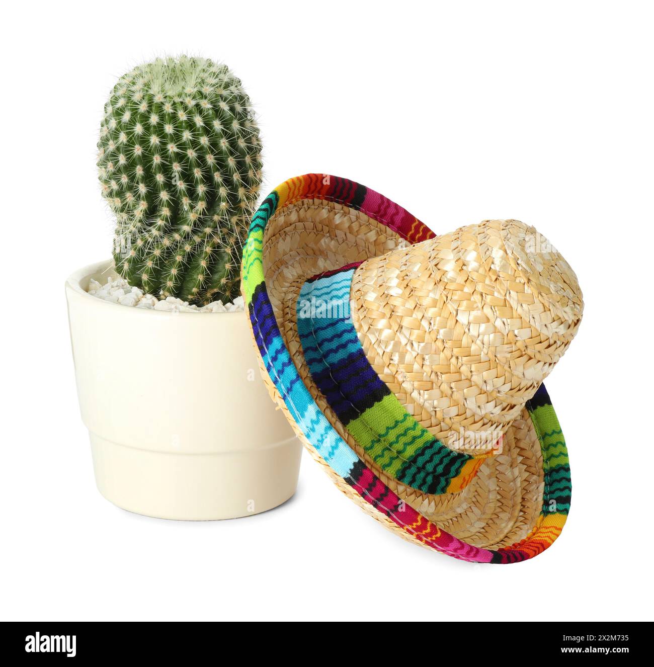 Mexican sombrero cactus hi-res stock photography and images - Alamy