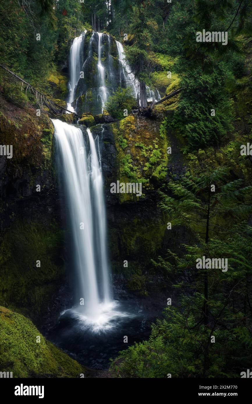 geography / travel, USA, Washington, Falls Creek Falls, ADDITIONAL-RIGHTS-CLEARANCE-INFO-NOT-AVAILABLE Stock Photo