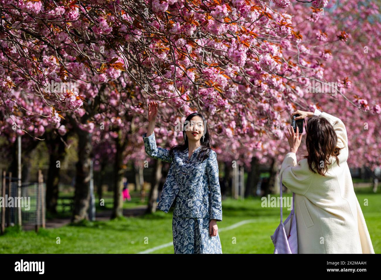 Edinburgh, Scotland, UK. 23 April, 2024. Spring time scenes from ...