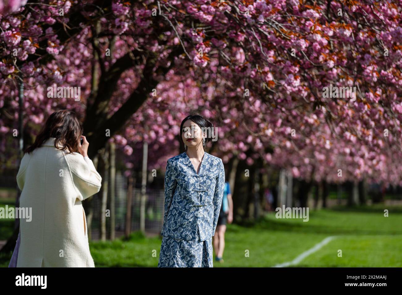 Edinburgh, Scotland, UK. 23 April, 2024. Spring time scenes from ...