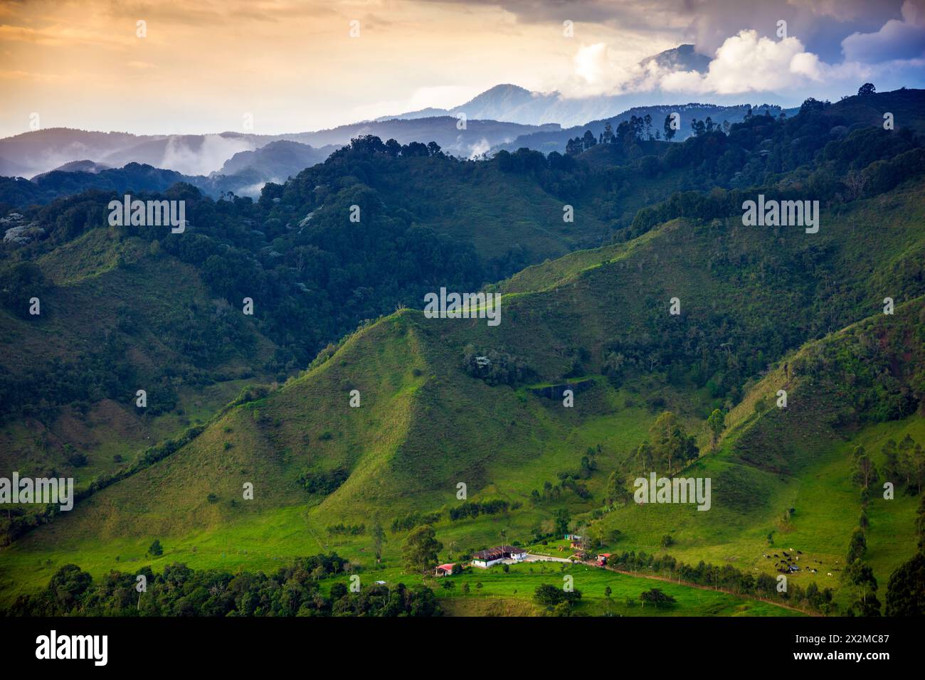 geography / travel, Colombia, Quindio, rural scene, Andean mountains, forest, plantation, ADDITIONAL-RIGHTS-CLEARANCE-INFO-NOT-AVAILABLE Stock Photo