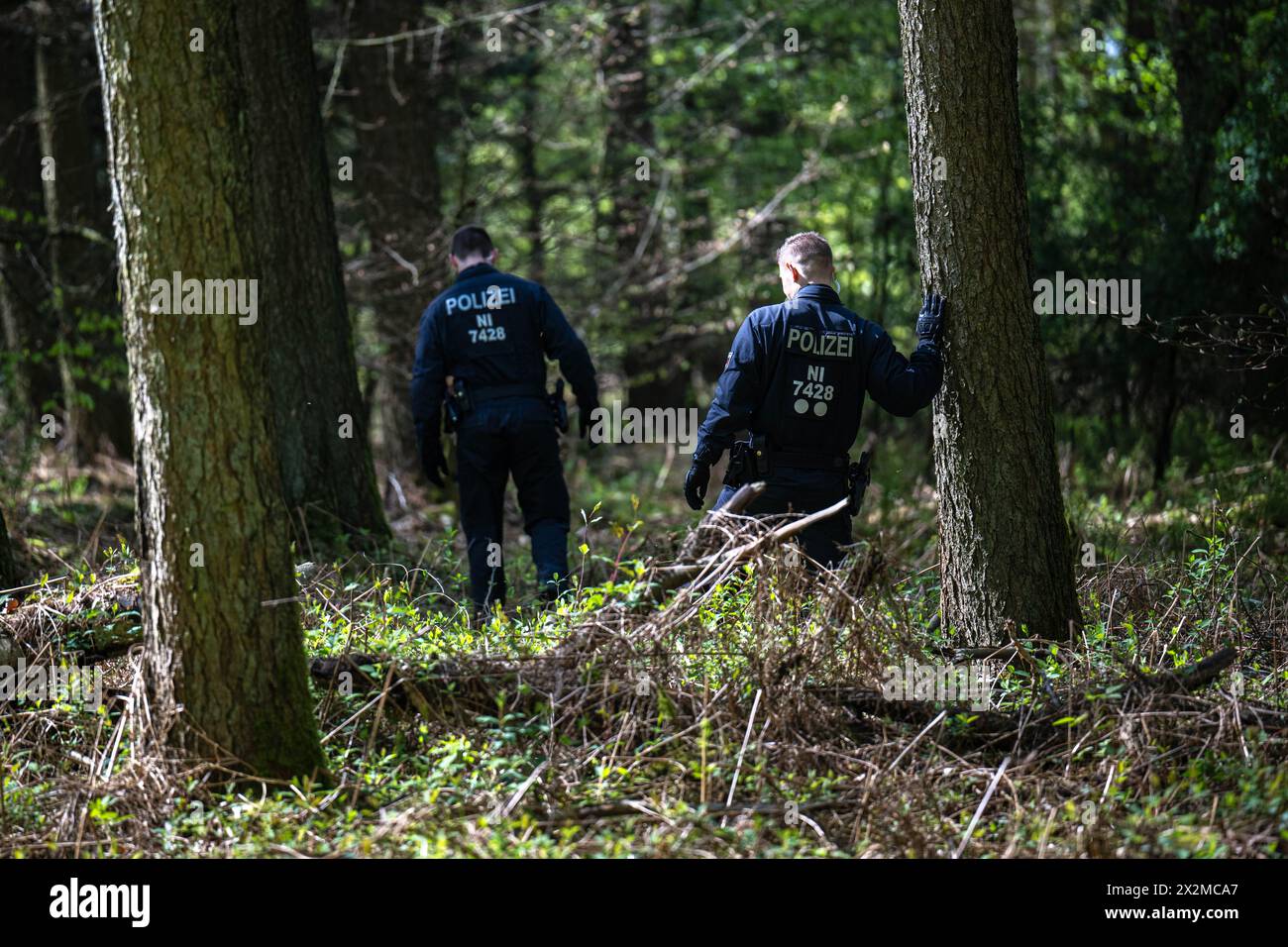 Lower Saxony, Germany. 23 April 2024, Lower Saxony, Bremervörde: Emergency services search a wooded area. More than three hundred emergency services have been searching for a missing six-year-old child in Bremervörde, Lower Saxony, since Monday evening. As the police announced on Tuesday, the boy is autistic and does not respond to being spoken to. Credit: dpa picture alliance/Alamy Live News Stock Photo