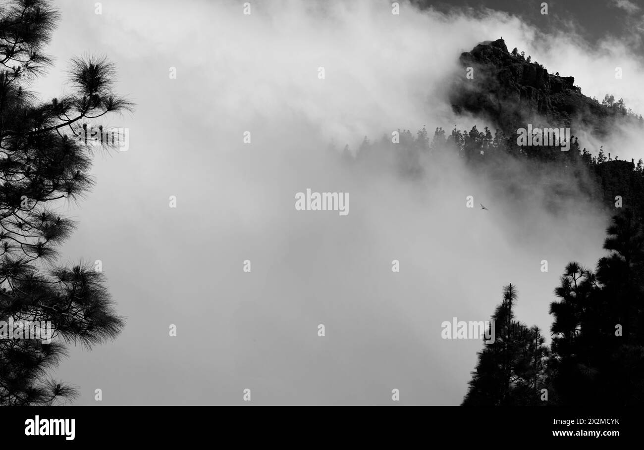 Flying through fog Black and White Stock Photos & Images - Alamy
