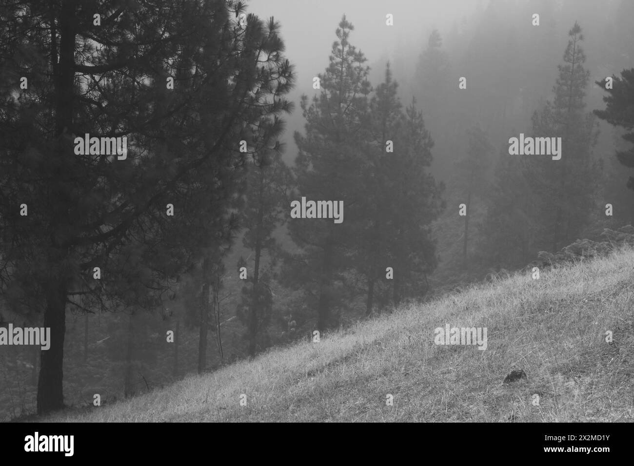 Rolling slope Black and White Stock Photos & Images - Alamy