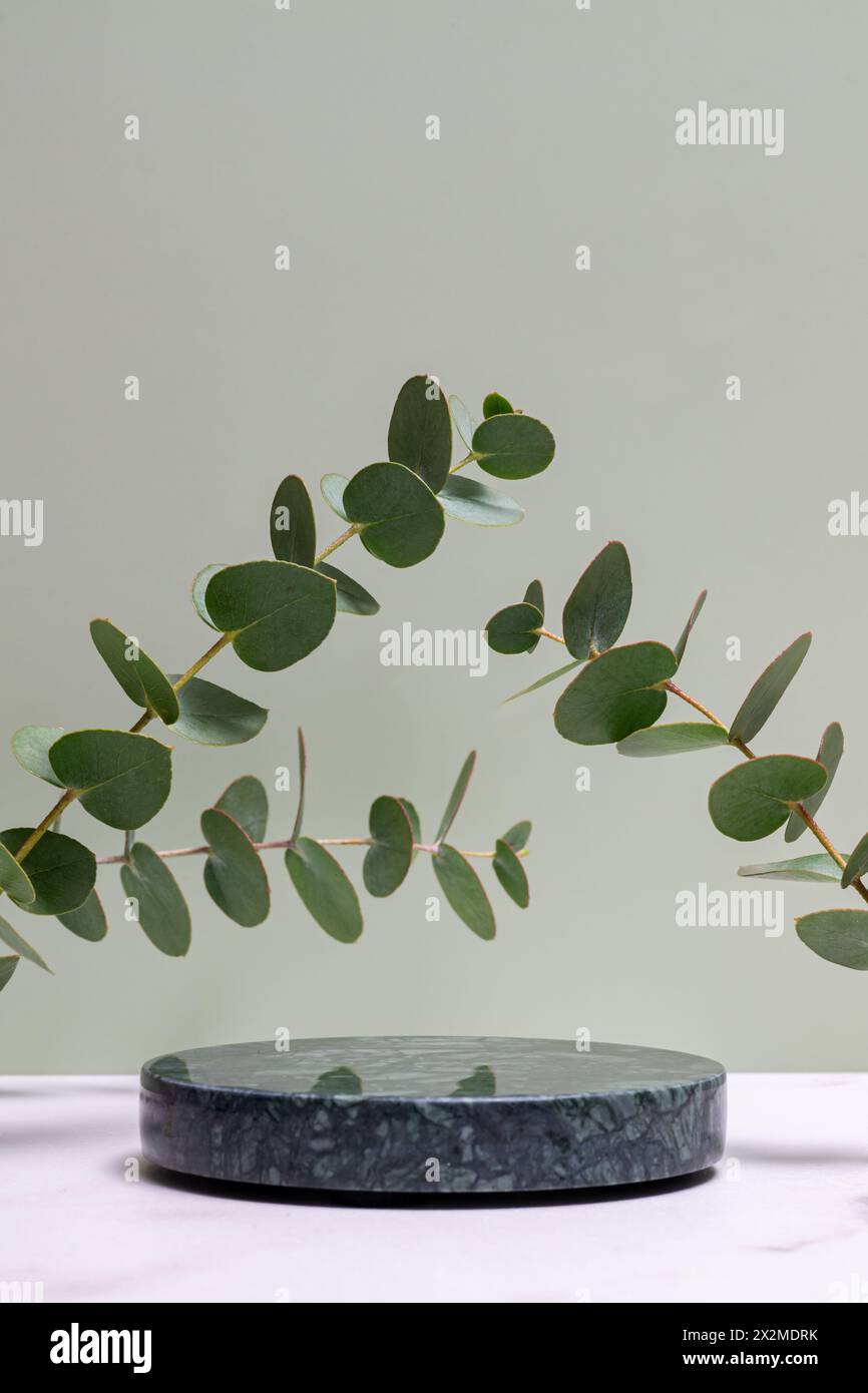 Eucalyptus leaves floating hi-res stock photography and images - Alamy