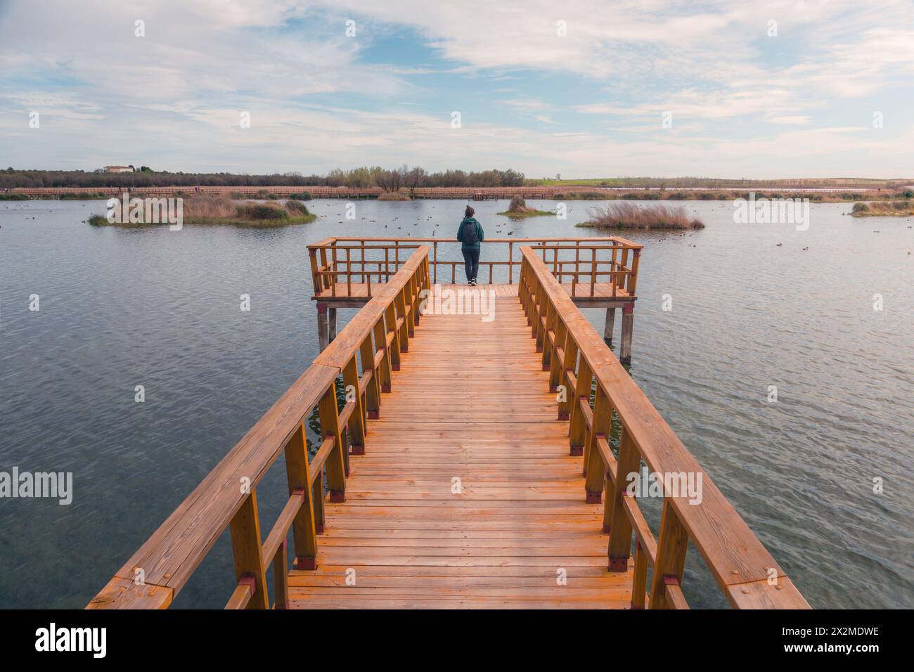 A tranquil scene at Tablas de Daimiel National Park, featuring a wooden boardwalk extending over the water with a person standing at the end, surround Stock Photo