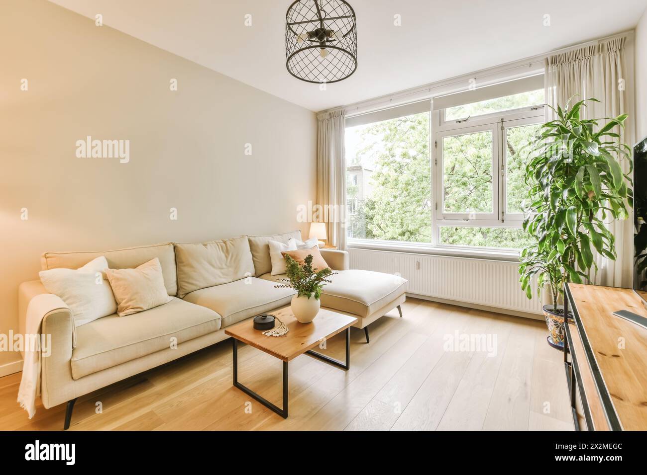 A modern living room featuring a comfortable light-colored couch, wooden coffee table, and greenery by the window, bathed in natural light. Stock Photo