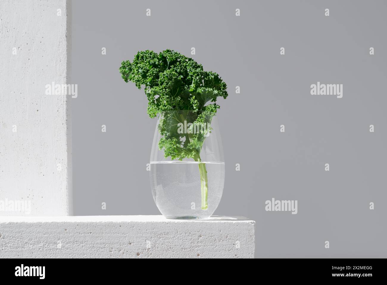 Fresh green kale leaves presented in a transparent glass filled with water, set against a minimalistic grey and white backdrop Stock Photo
