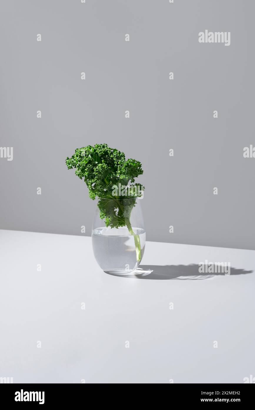 A vibrant green kale leaf displayed in a transparent glass filled with water, set against a white background with a soft shadow Stock Photo