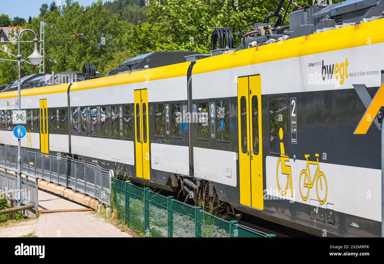 Fahrplan Seebrugg Freiburg 2022