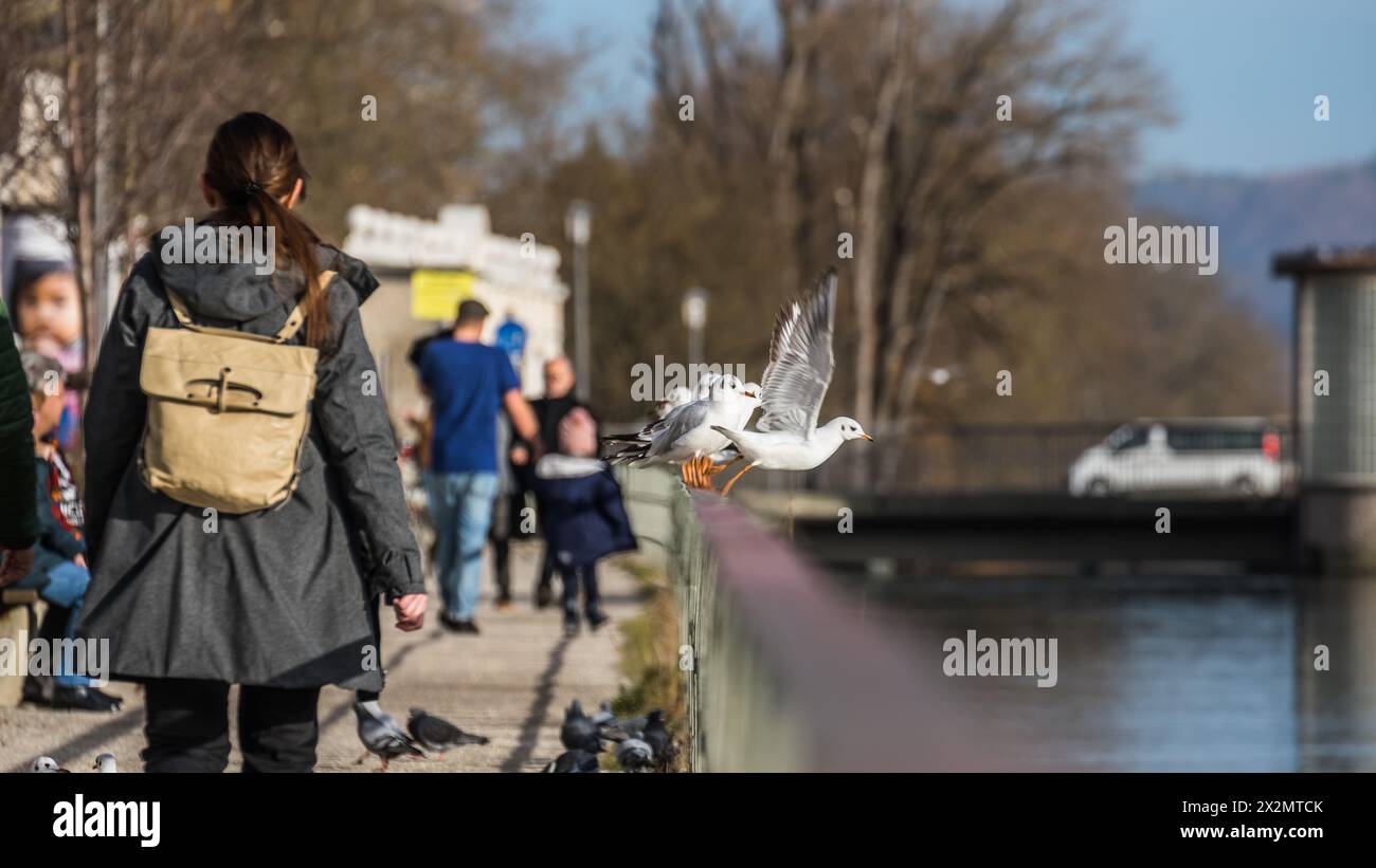 Landshut, Deutschland - 2. Januar 2021: Sowohl Mensch, als auch Tier, geniessen die milden Temperaturen um den Jahreswechsel. Stock Photo