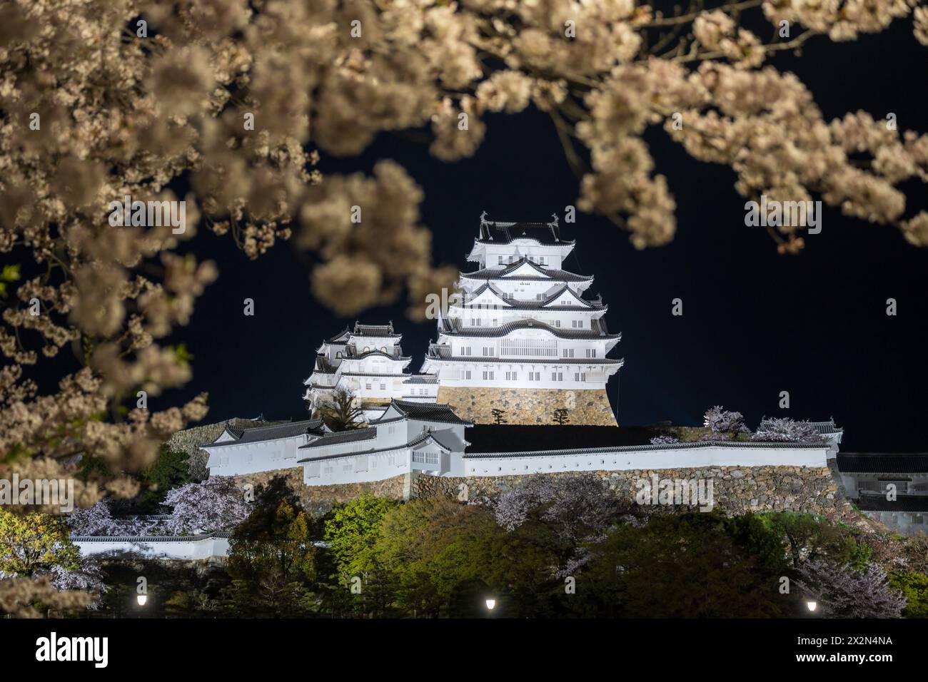Premium Photo | Cherry blossoms and castle in himeji japan