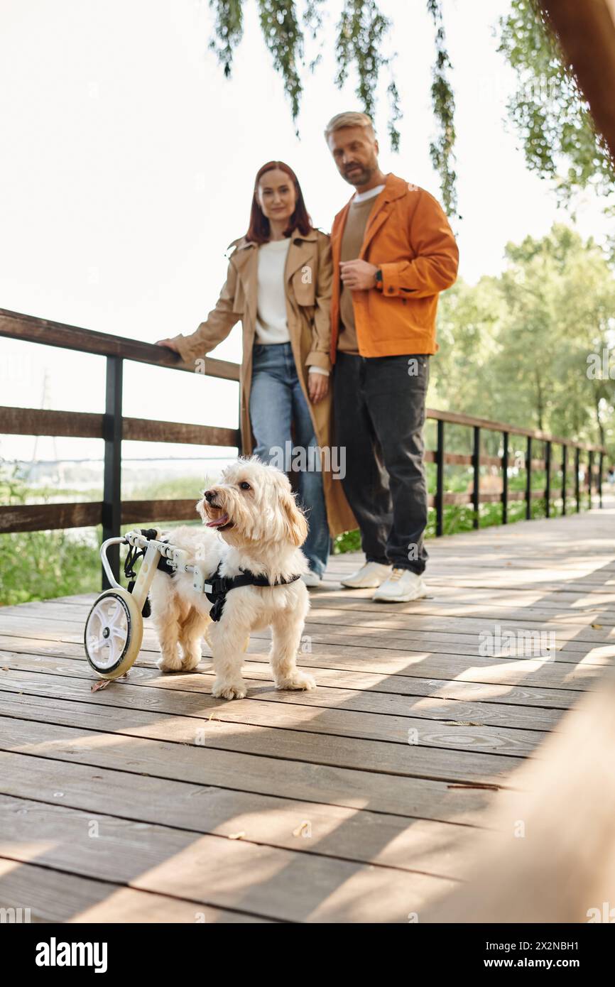 A man and woman, in casual attire, stand on a bridge with a dog in a wheelchair. Stock Photo