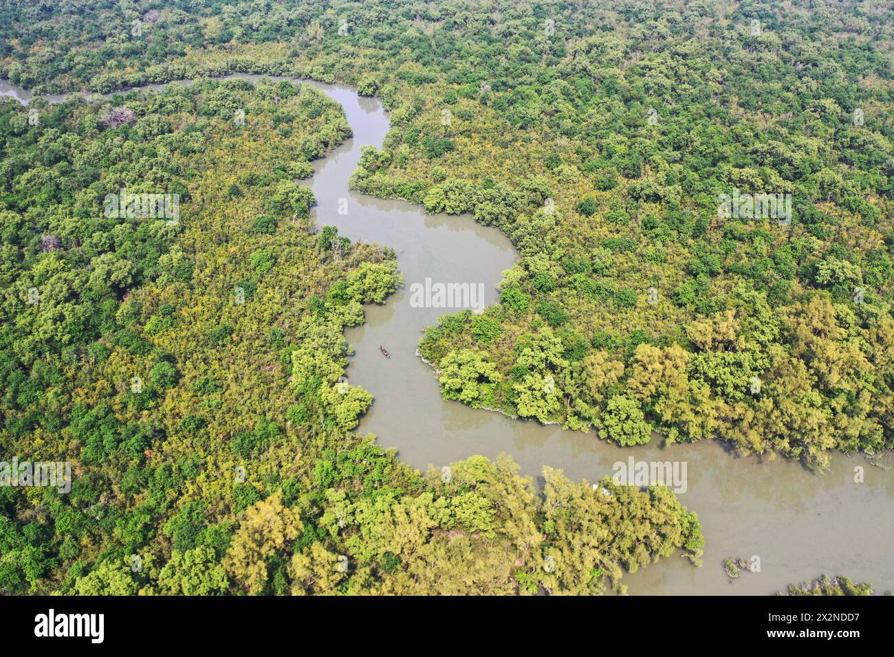 Khulna, Bangladesh - April 13, 2024: Aerial view of the Sundarban Mangrove forest, a UNESCO World Heritage Site and a wildlife sanctuary at Koyra in K Stock Photo