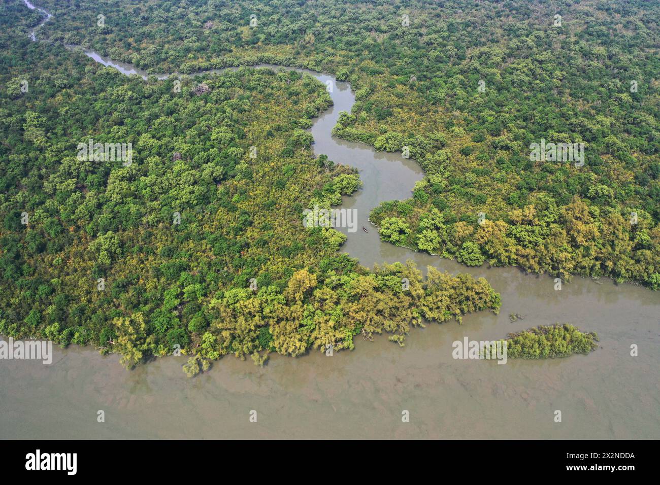 Khulna, Bangladesh - April 13, 2024: Aerial view of the Sundarban Mangrove forest, a UNESCO World Heritage Site and a wildlife sanctuary at Koyra in K Stock Photo