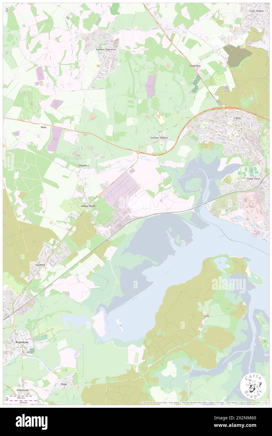 Holton Heath National Nature Preserve, Dorset, GB, United Kingdom