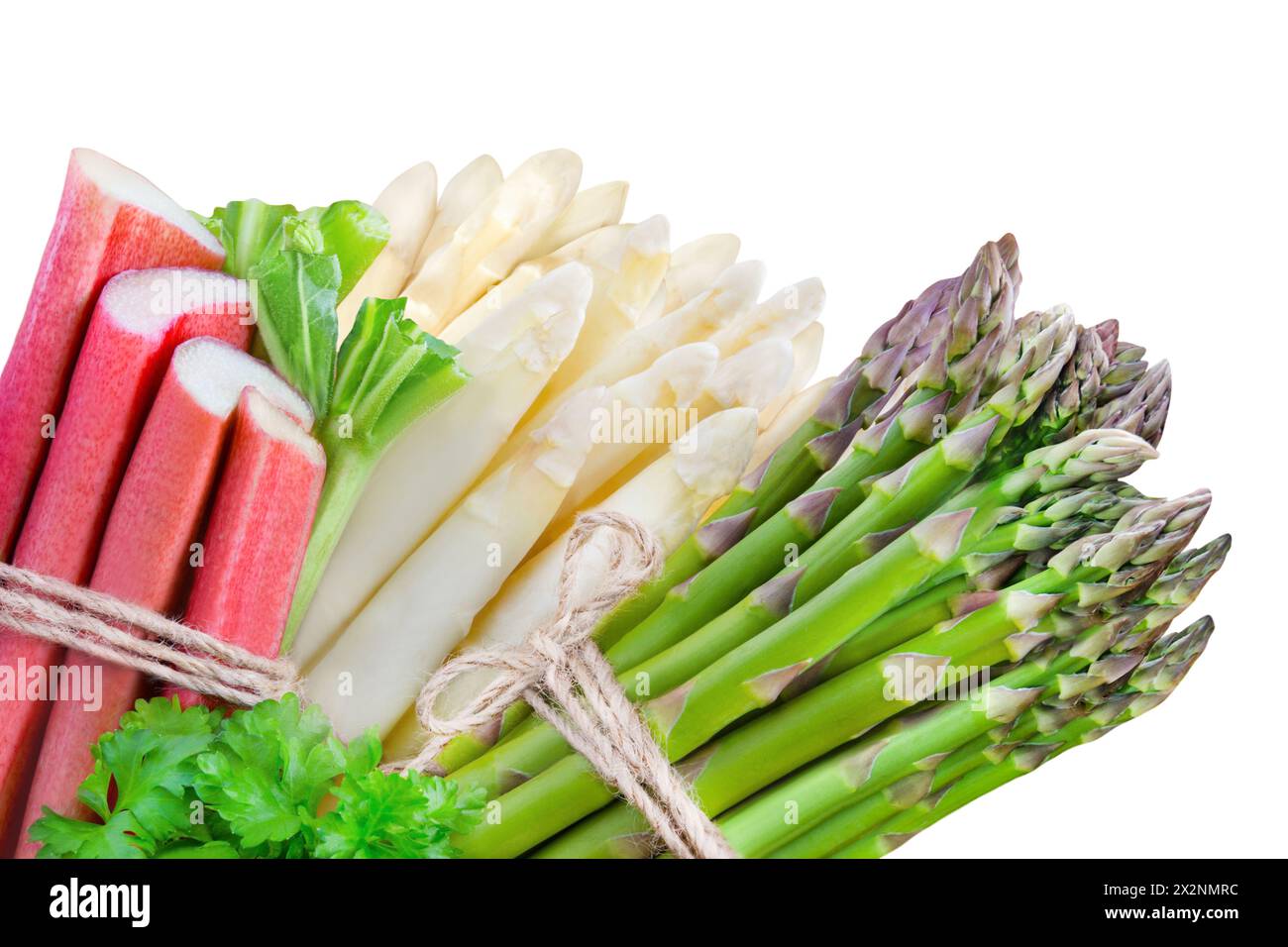 Asparagus and Rhubarb isolated on white background Stock Photo
