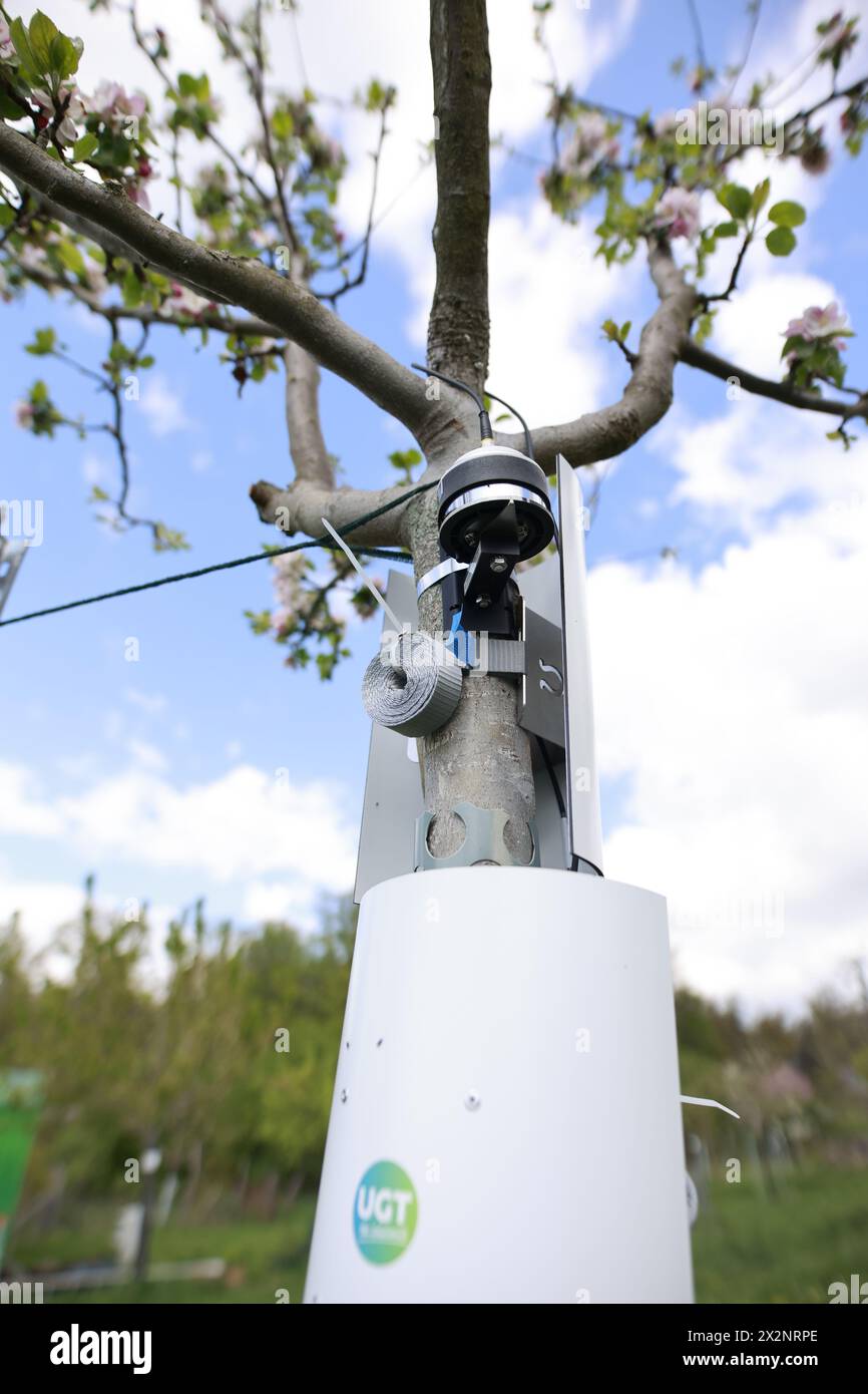 PRODUCTION - 18 April 2024, Saxony-Anhalt, Halberstadt: View of a ...