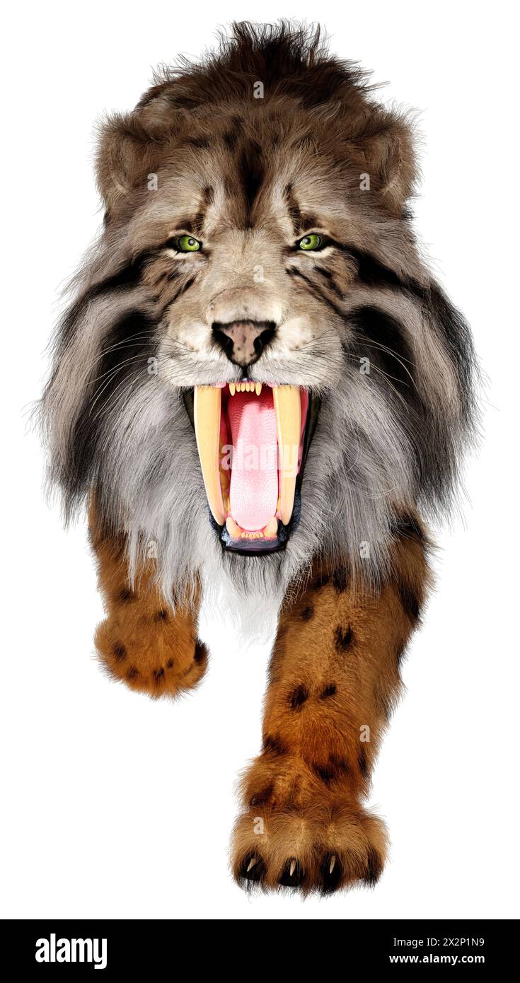 3D rendering of a saber toothed tiger isolated on white background ...