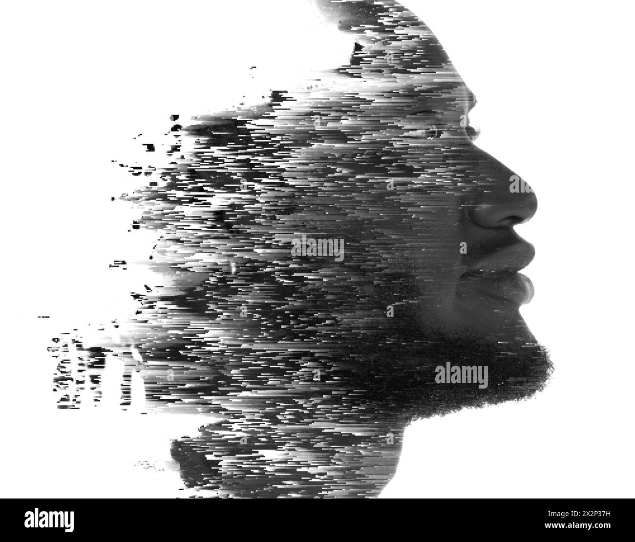 A black and white paintography profile disappearing into background pattern. Stock Photo