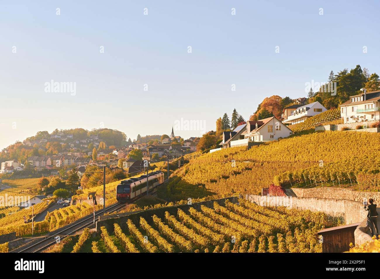 Regional train going through Lavaux golden vineyards, autumn landscape, Switzerland Stock Photo