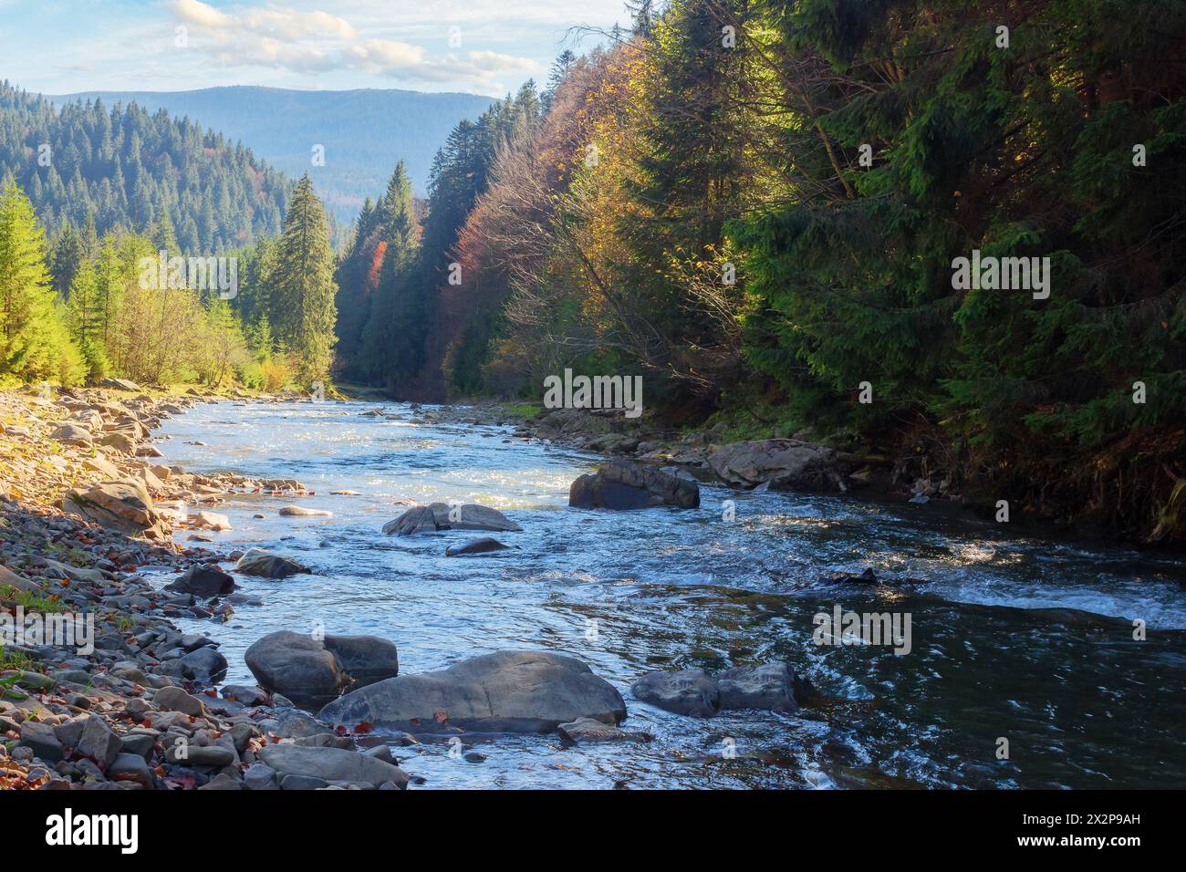narrow mountain river in autumn. unexpected drought and dry fall season. stones on the shore and shallow water stream. environmental disaster in ukrai Stock Photo